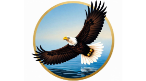 Online Kongress System